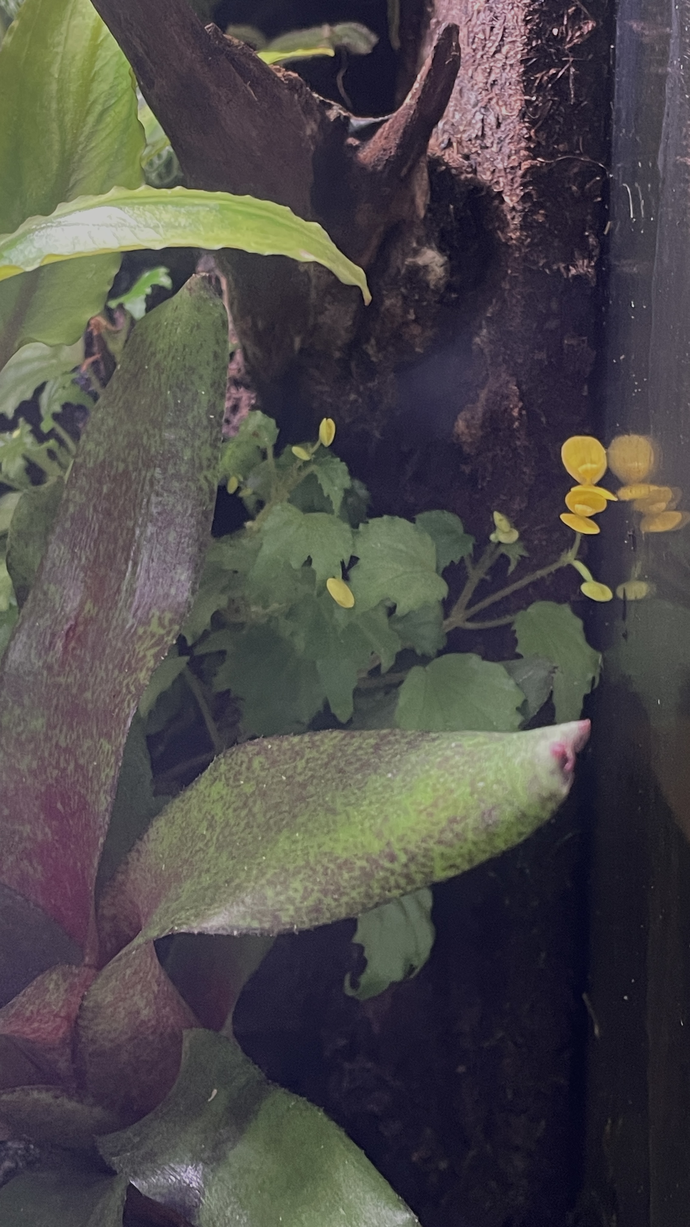 IMG_5028.jpeg