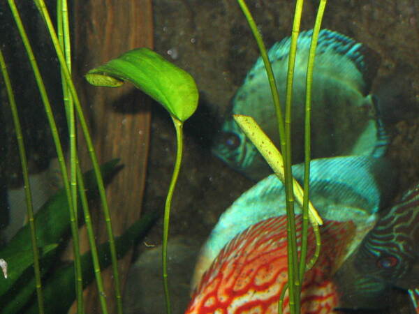 IMG_5101.JPG