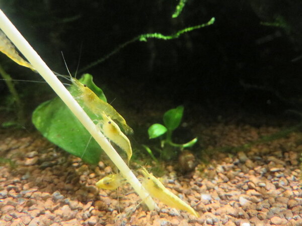 IMG_5336.JPG