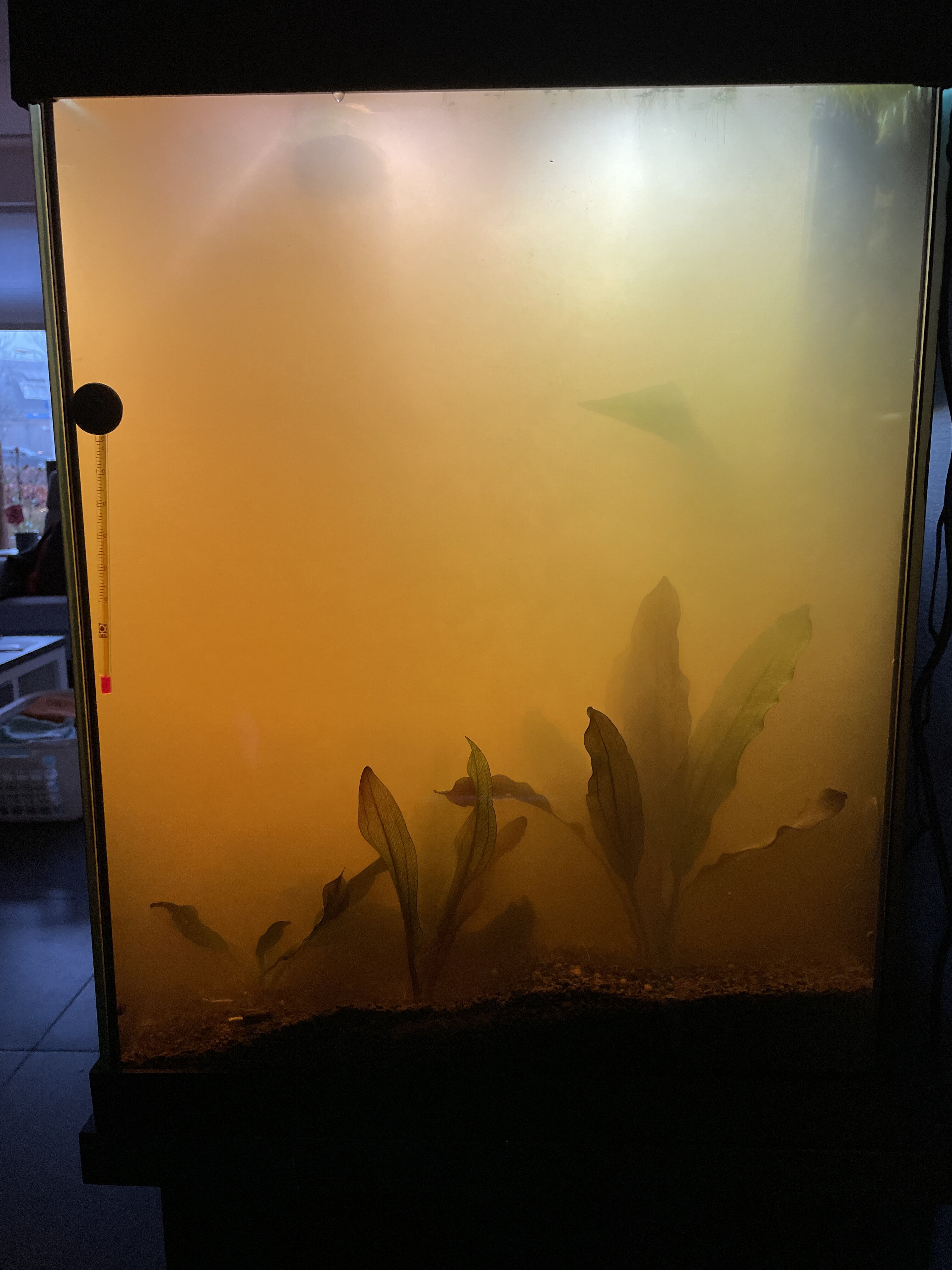 IMG_5349.jpeg