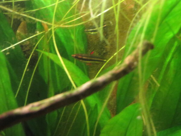 IMG_5380.JPG