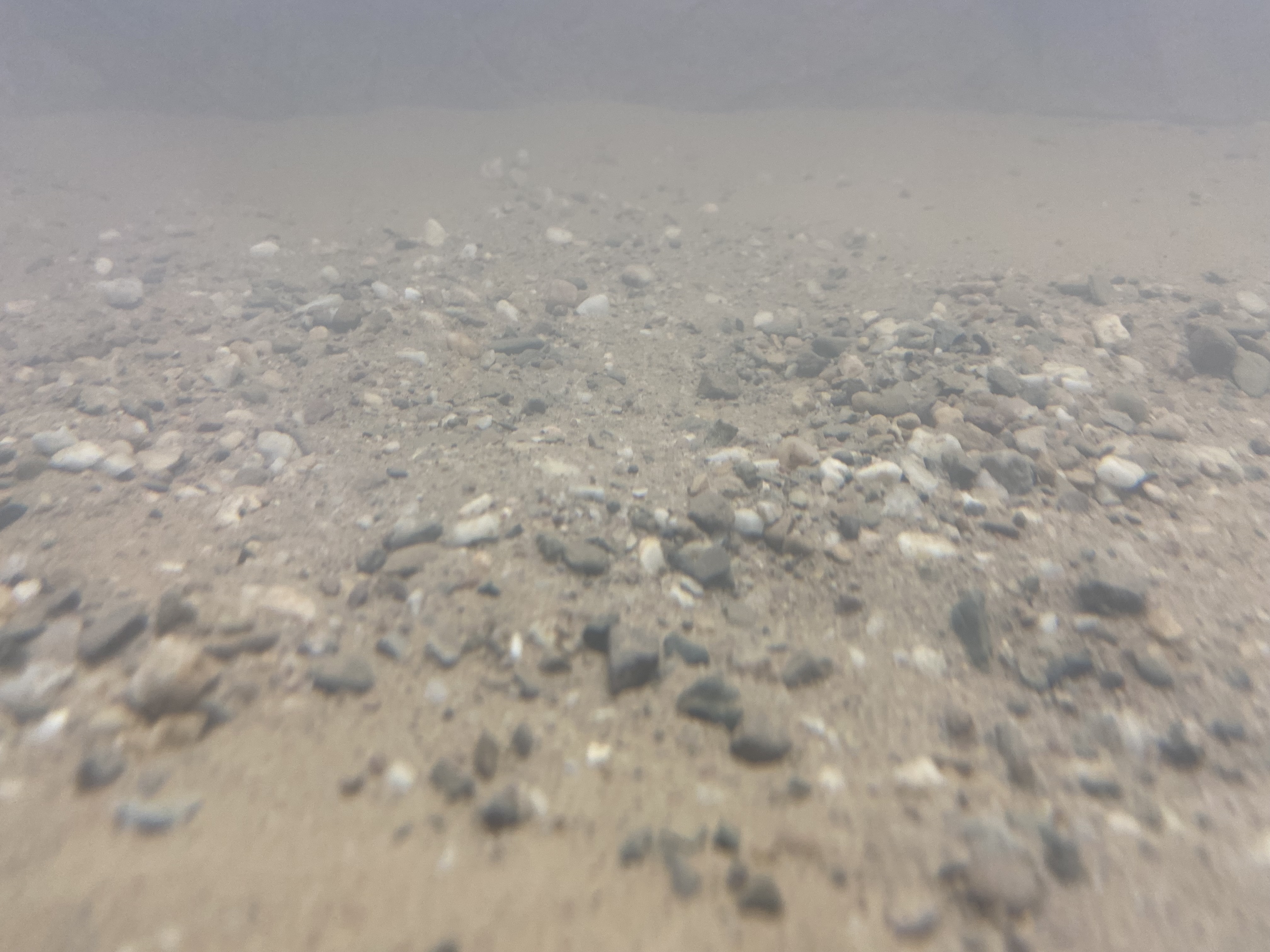 IMG_5726.jpeg