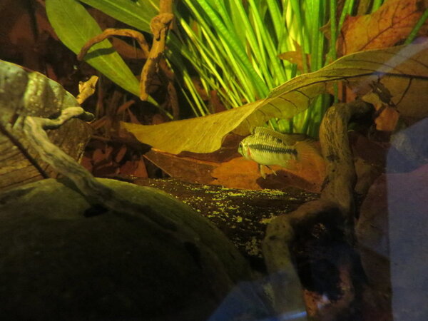 IMG_6058.JPG