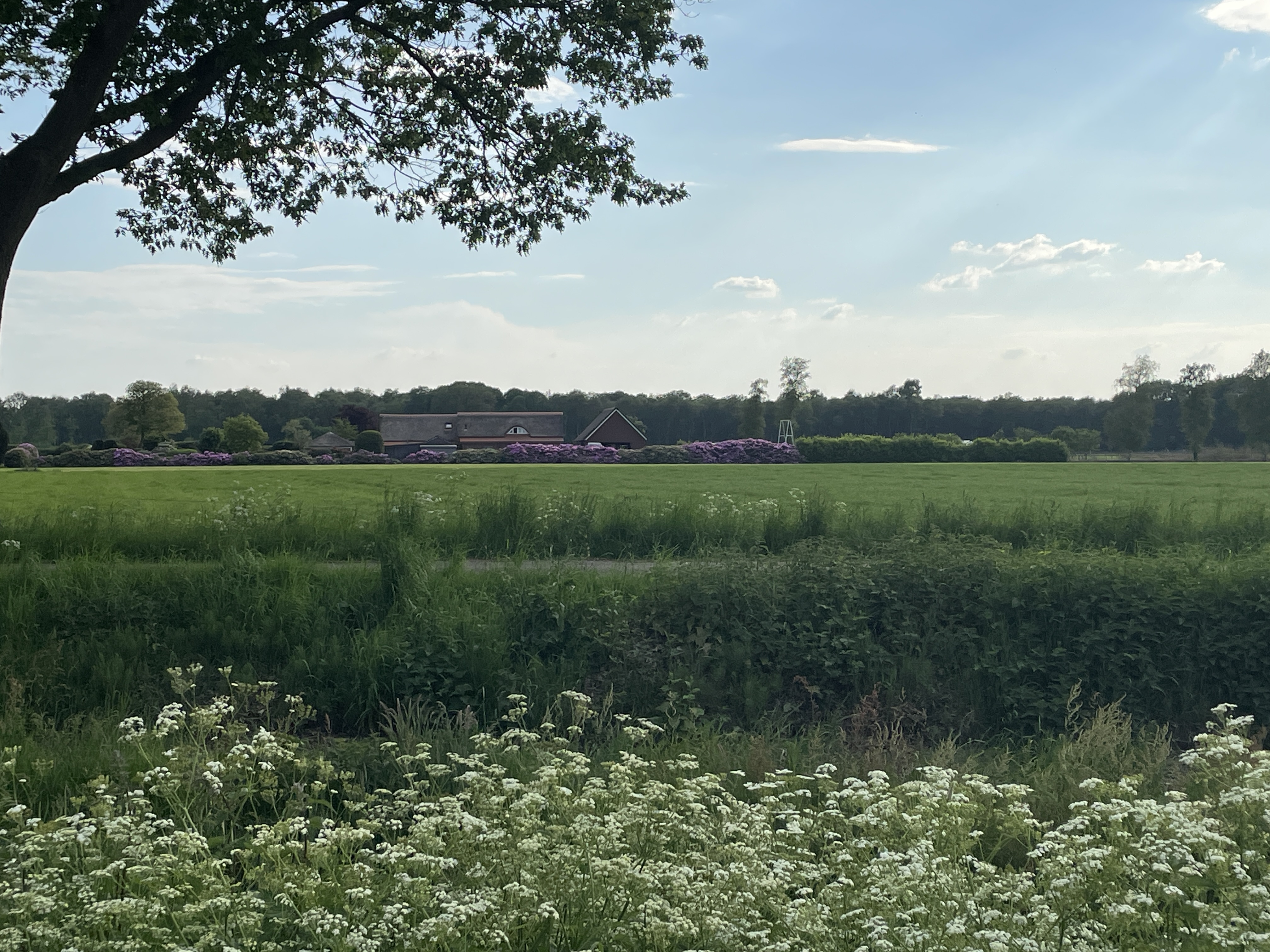 IMG_6107.jpeg