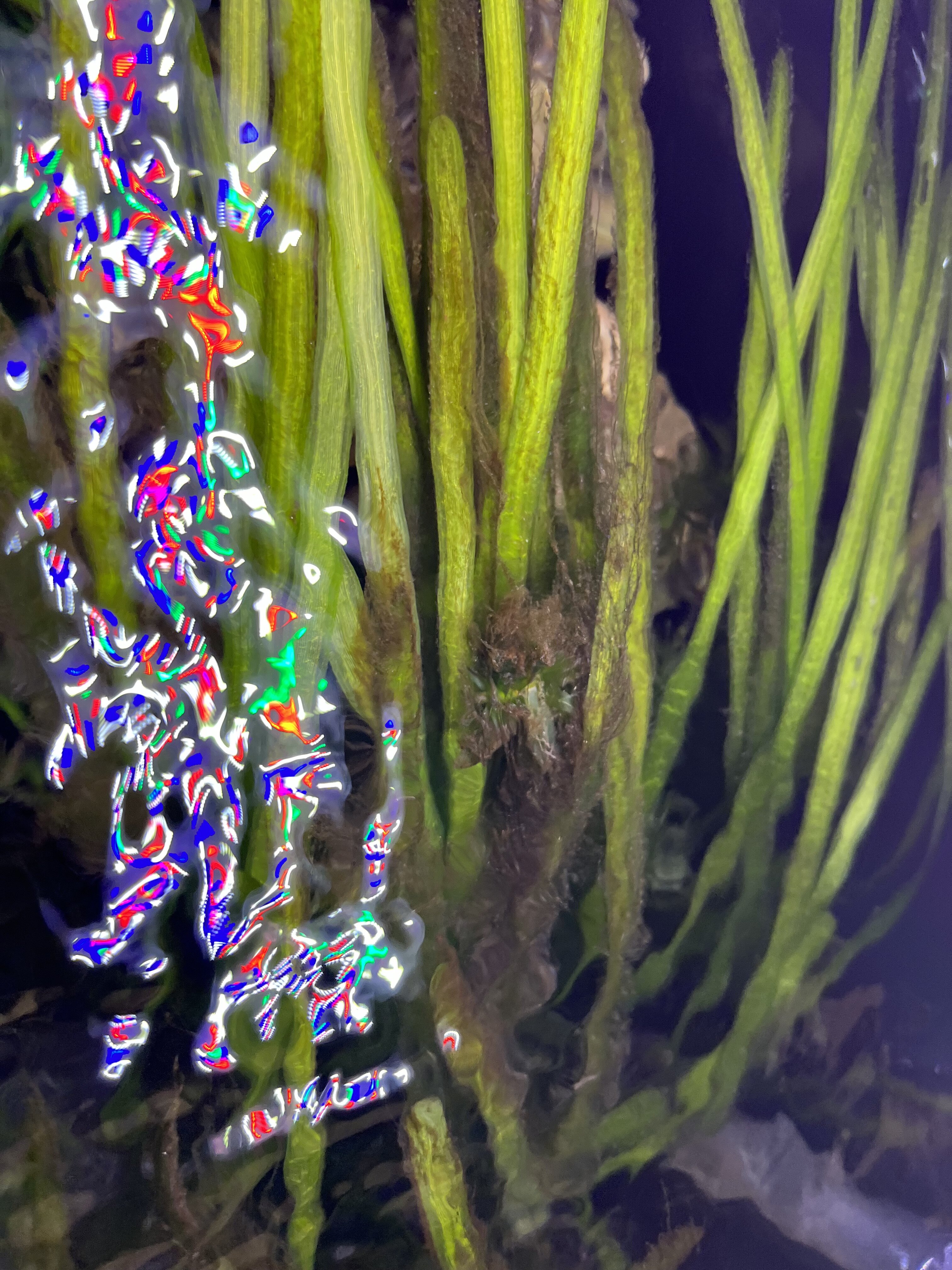 IMG_7261.jpeg
