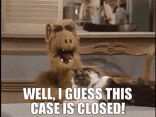 IMG_7608.gif