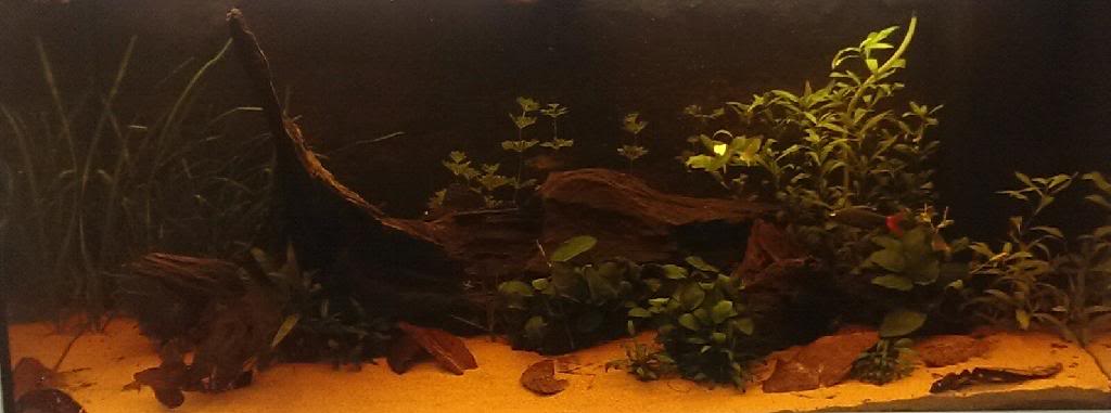 InILqLxvQbbef7WhfDfUviIUpW7Dzevp.jpeg InILqLxvQbbef7WhfDfUviIUpW7Dzevp.jpeg