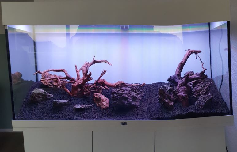 Juwel Rio 180.JPG