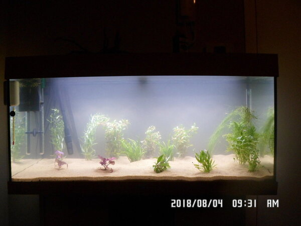 Juwel Rio 180 opstart op 3 Aug 2018 009.JPG