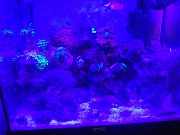 KaRFXpH952rFEuGPqdRREp7aqI9cksL4.jpeg