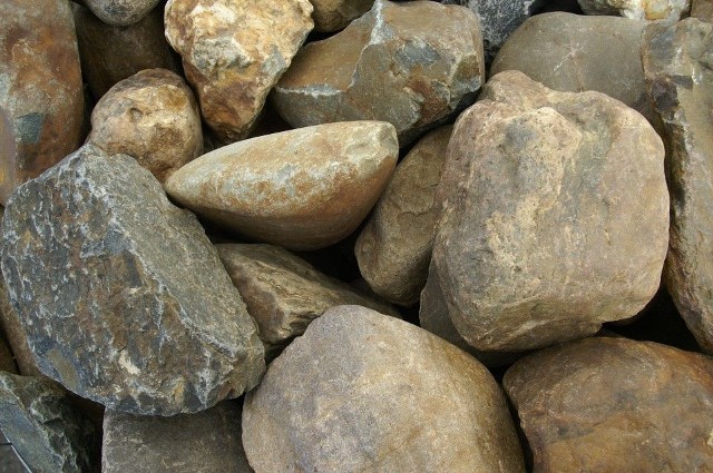 kg-maaskeien-bont-15-30cm-(-volle-korf-1440-kg-).jpg
