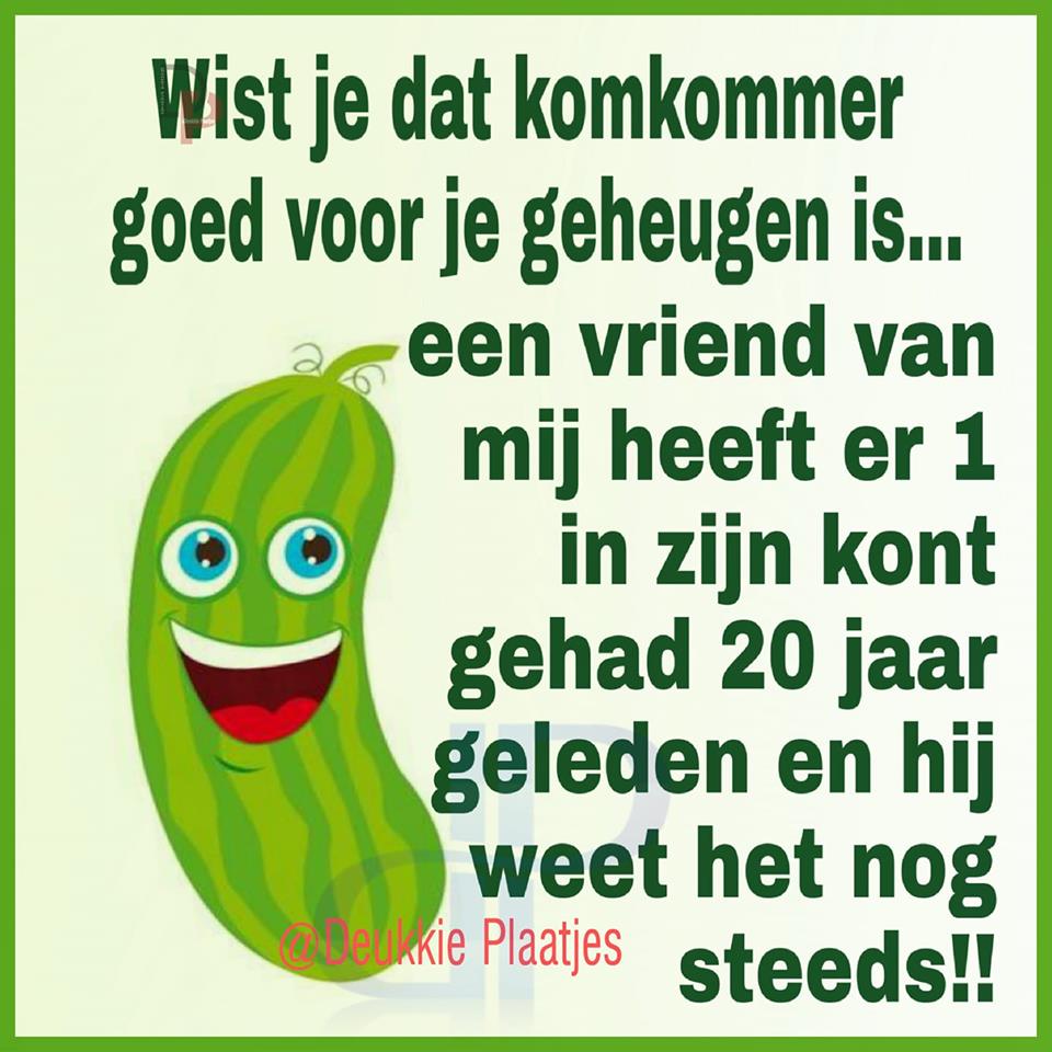 komkommer.jpg