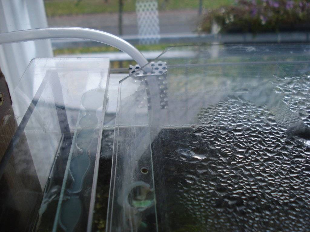 Kweek opstelling II 002.jpg