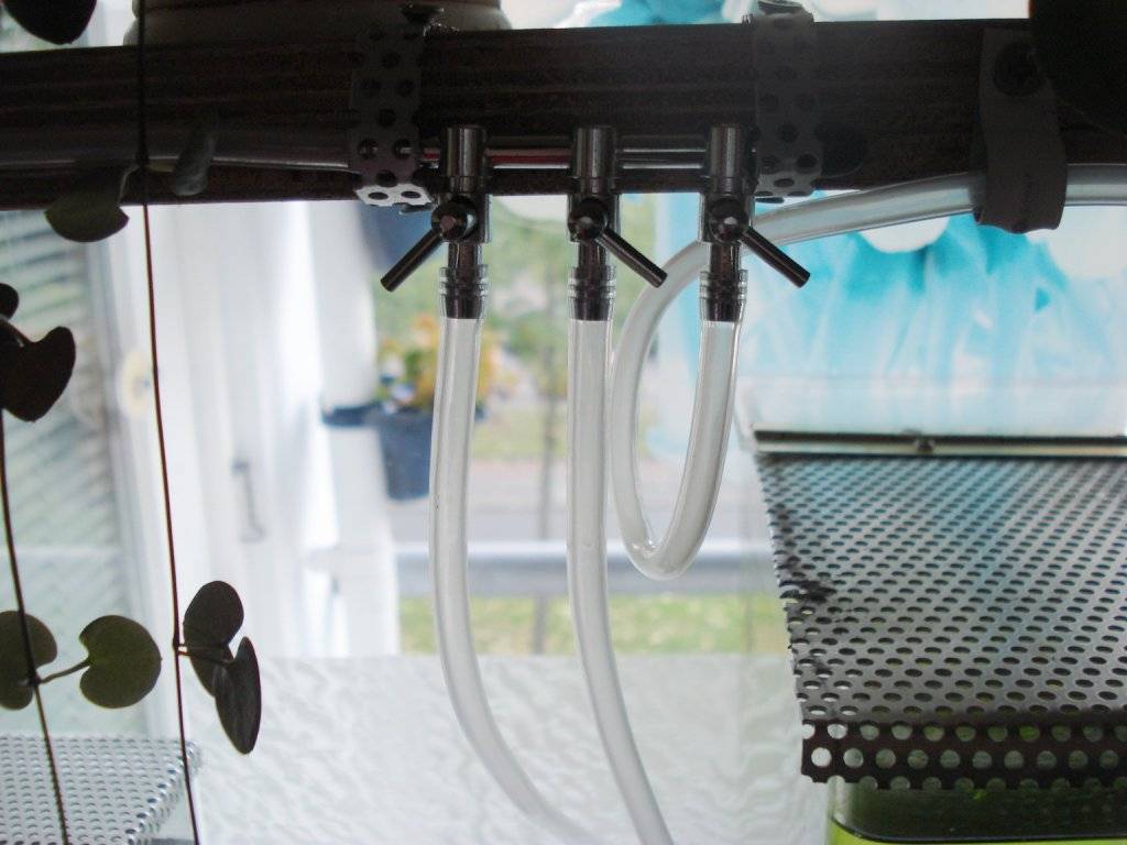 Kweek opstelling II 003.jpg