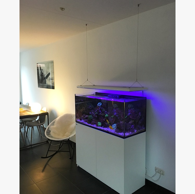 lampen-ophangen-aquarium.jpg