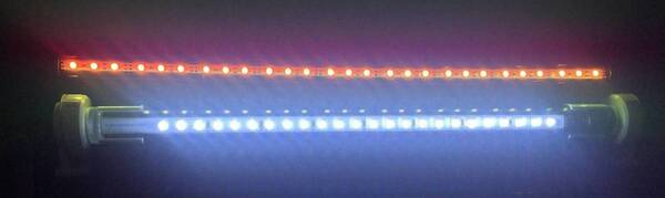 LED-Bertus.JPG