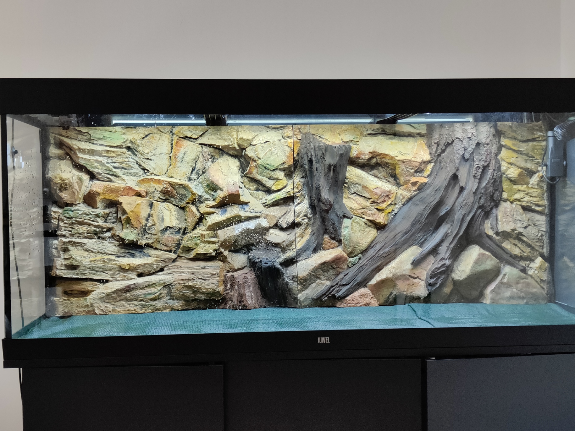 leeg aquarium Todo Chévere.jpg