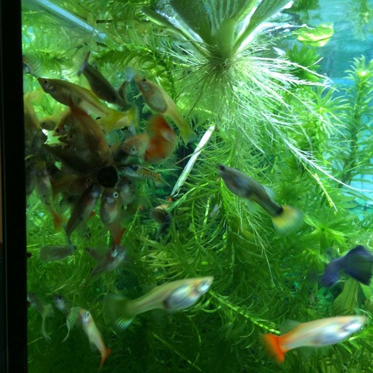 levenbarenden (1).JPG