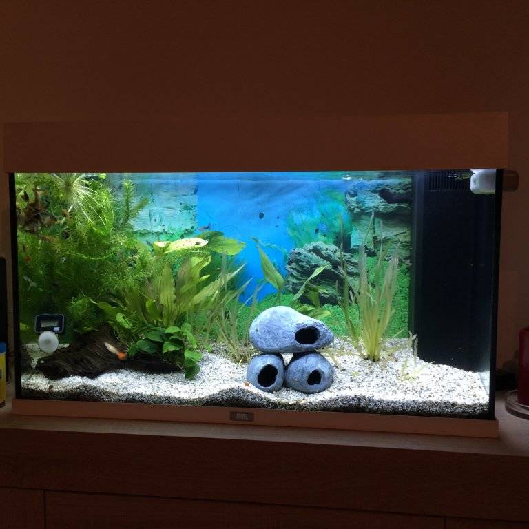 levenbarenden (2).JPG