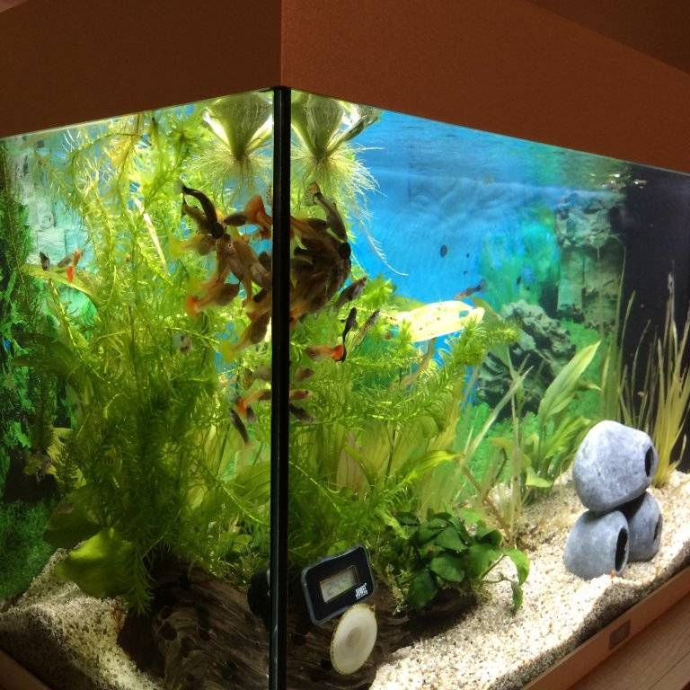 levenbarenden (3).JPG