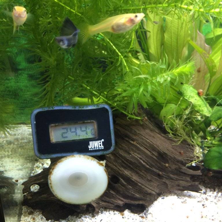 levenbarenden (4).JPG