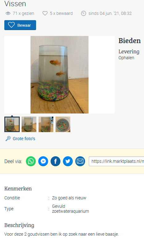 mafkees.PNG