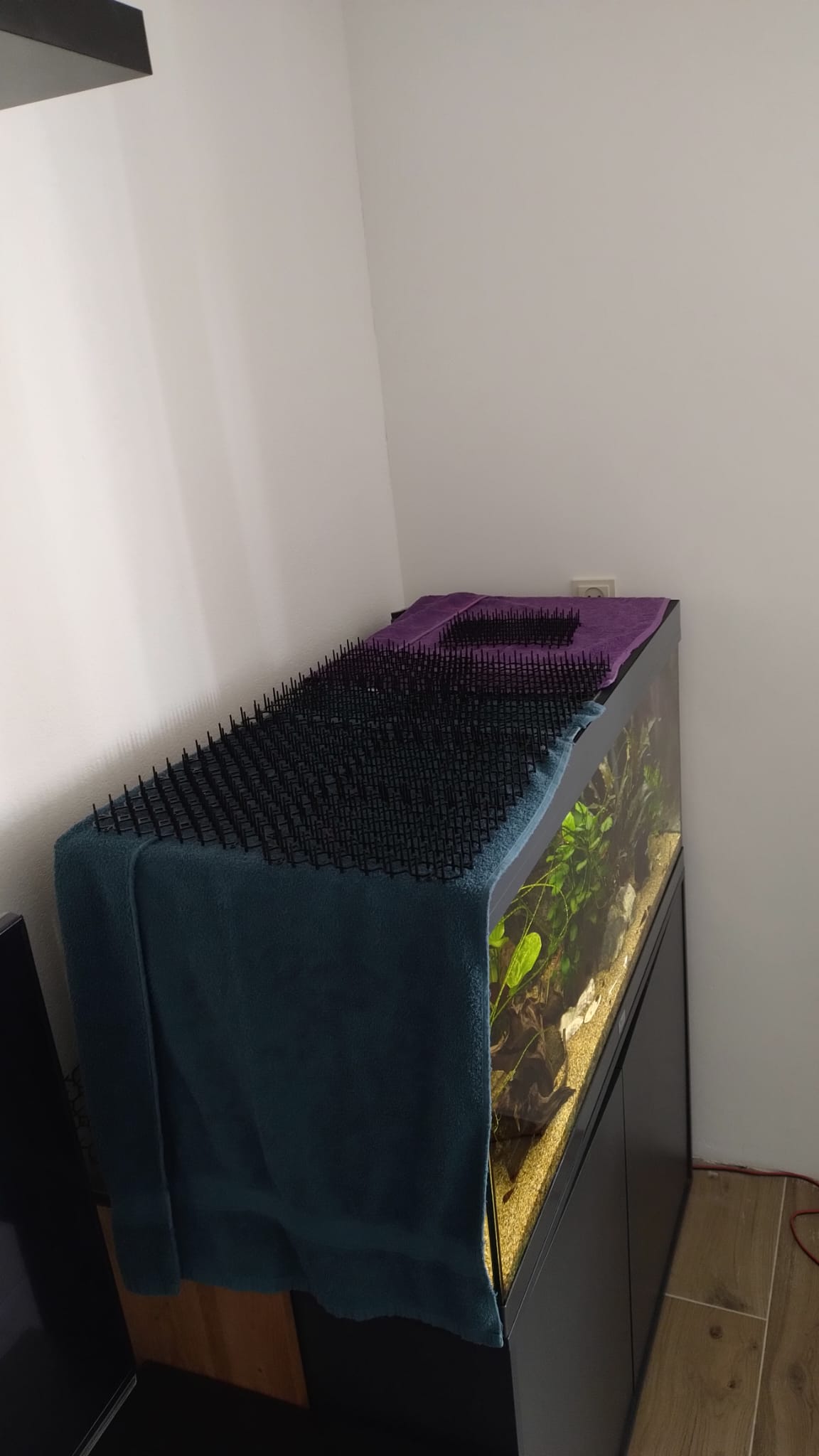 matten op aquarium.jpeg