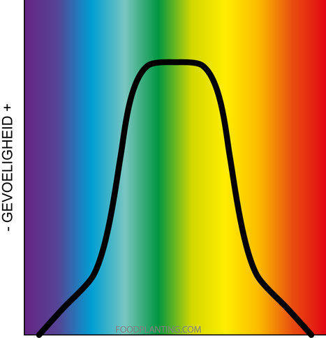menselijk-oog-visueel-spectrum.jpg