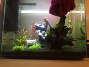 mHsbI1PkuB5n1qlGH0OkZpJoA6VsgVYa.jpeg mHsbI1PkuB5n1qlGH0OkZpJoA6VsgVYa.jpeg