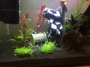 mHsbI1PkuB5n1qlGH0OkZpJoA6VsgVYa.jpeg mHsbI1PkuB5n1qlGH0OkZpJoA6VsgVYa.jpeg