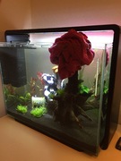 mHsbI1PkuB5n1qlGH0OkZpJoA6VsgVYa.jpeg mHsbI1PkuB5n1qlGH0OkZpJoA6VsgVYa.jpeg