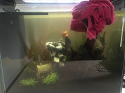 mHsbI1PkuB5n1qlGH0OkZpJoA6VsgVYa.jpeg mHsbI1PkuB5n1qlGH0OkZpJoA6VsgVYa.jpeg