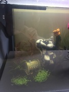 mHsbI1PkuB5n1qlGH0OkZpJoA6VsgVYa.jpeg mHsbI1PkuB5n1qlGH0OkZpJoA6VsgVYa.jpeg