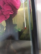 mHsbI1PkuB5n1qlGH0OkZpJoA6VsgVYa.jpeg mHsbI1PkuB5n1qlGH0OkZpJoA6VsgVYa.jpeg