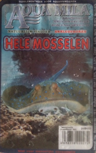 mossel1.jpg