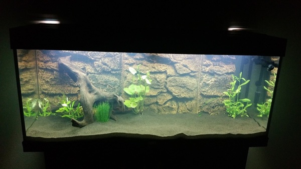 Aquarium