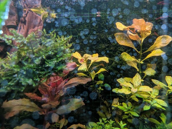 MVIMG_20190413_203608.jpg