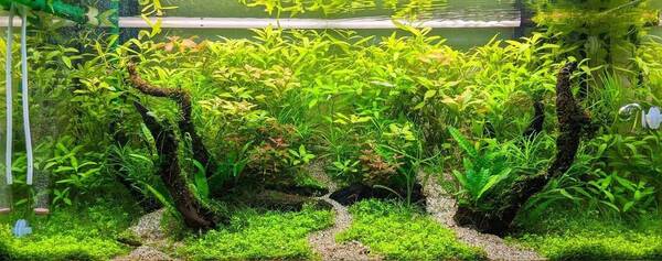 mvimg_20191222_190040-01-jpeg.285716