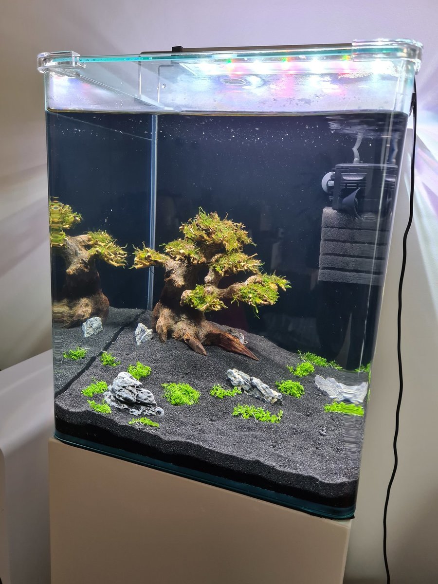 Nano2-planted-day1.jpg