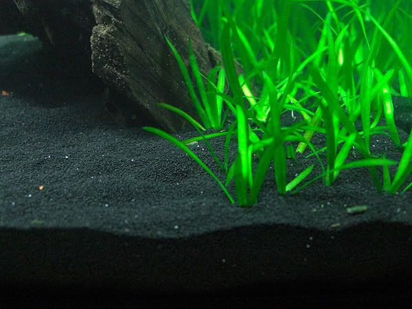 nautic-aquarium-zand-zwart-9kg (1).jpg