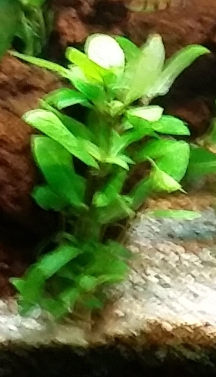 new_image_4.jpg