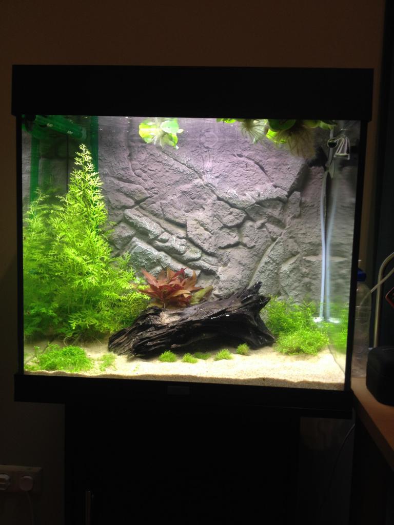 nieuwelampen_zps7be9030c.jpg