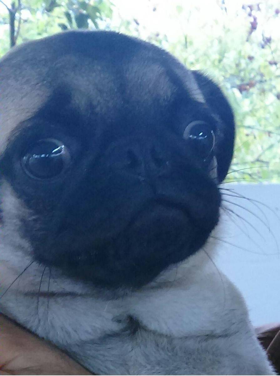 Nooo.jpg