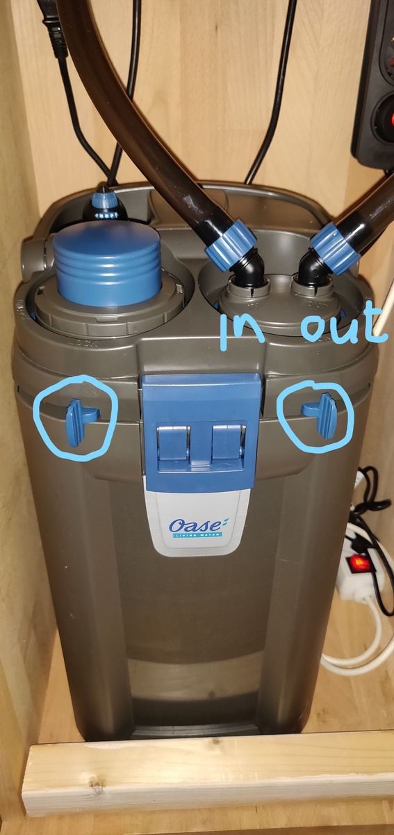 oase.jpg