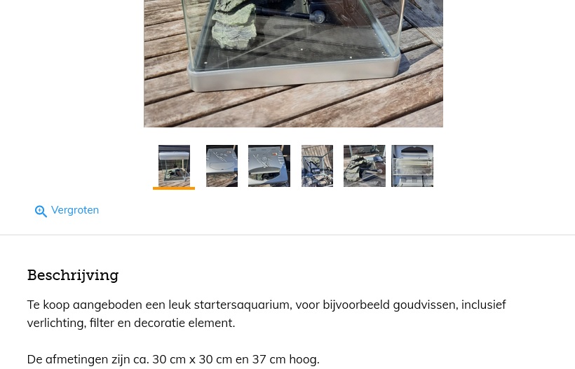 oef.jpg