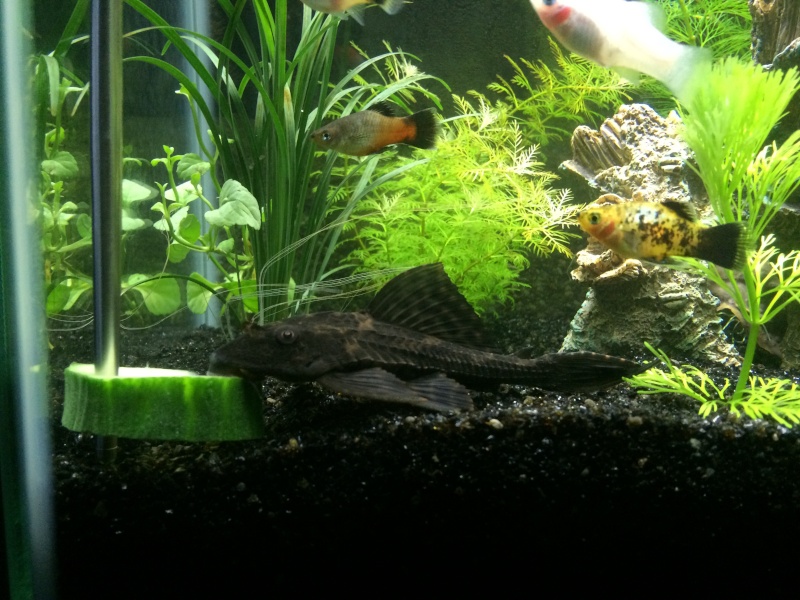 oHMJlAj85Q5ZqS3eVwPj59t_7Cur3DdV.jpeg oHMJlAj85Q5ZqS3eVwPj59t_7Cur3DdV.jpeg