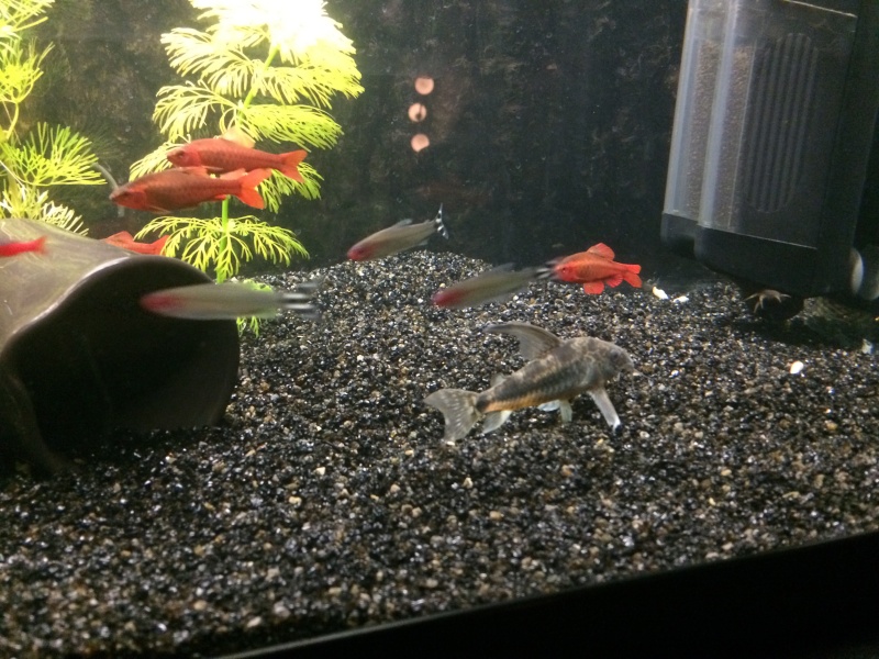 oHMJlAj85Q5ZqS3eVwPj59t_7Cur3DdV.jpeg oHMJlAj85Q5ZqS3eVwPj59t_7Cur3DdV.jpeg