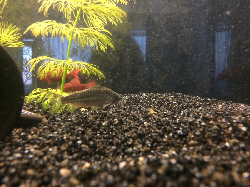 oHMJlAj85Q5ZqS3eVwPj59t_7Cur3DdV.jpeg oHMJlAj85Q5ZqS3eVwPj59t_7Cur3DdV.jpeg