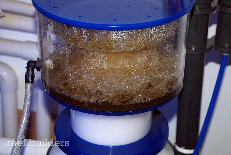 orca-pro-needle-wheel-protein-skimmer-myreef-creation-0.jpg