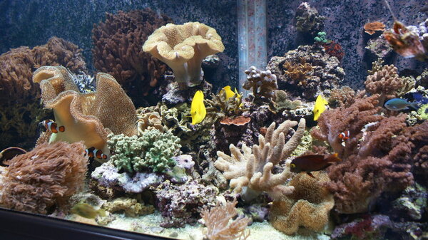 overicht2 27-01-2018.JPG